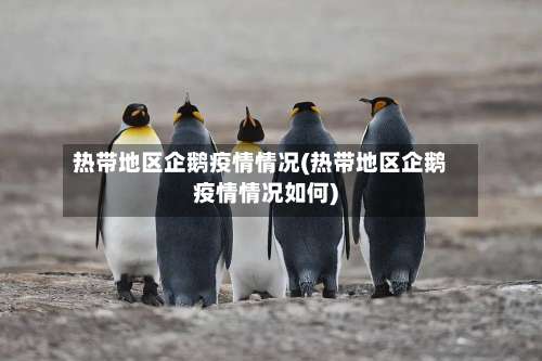 热带地区企鹅疫情情况(热带地区企鹅疫情情况如何)-第2张图片