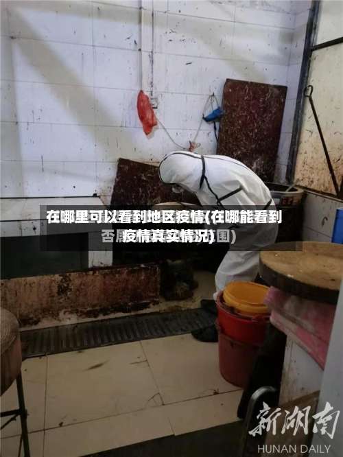 在哪里可以看到地区疫情(在哪能看到疫情真实情况)-第3张图片