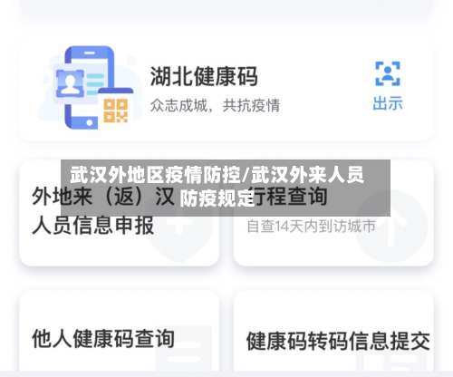 武汉外地区疫情防控/武汉外来人员防疫规定-第3张图片