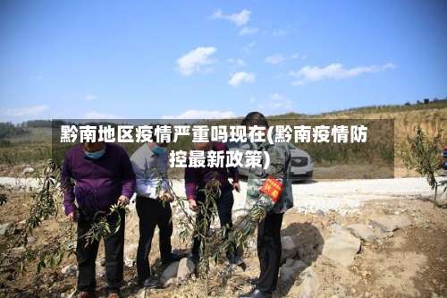 黔南地区疫情严重吗现在(黔南疫情防控最新政策)-第3张图片