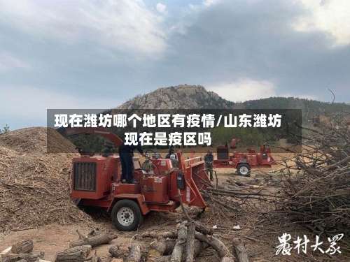 现在潍坊哪个地区有疫情/山东潍坊现在是疫区吗-第3张图片