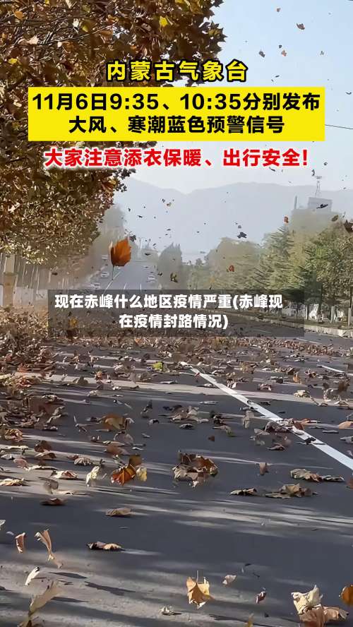 现在赤峰什么地区疫情严重(赤峰现在疫情封路情况)-第2张图片