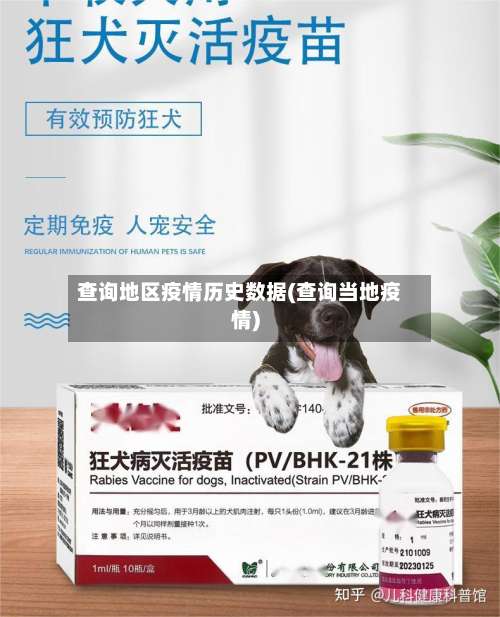 查询地区疫情历史数据(查询当地疫情)-第1张图片