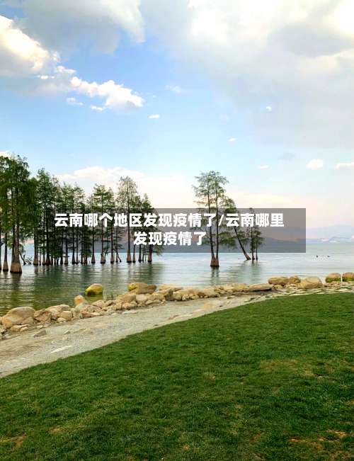 云南哪个地区发现疫情了/云南哪里发现疫情了-第1张图片