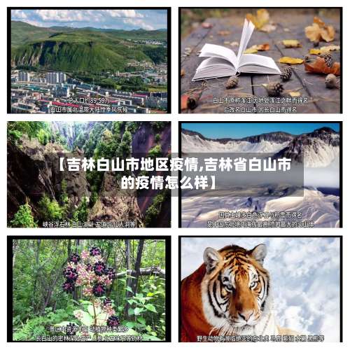 【吉林白山市地区疫情,吉林省白山市的疫情怎么样】-第1张图片