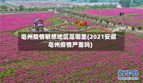 亳州疫情敏感地区是哪里(2021安徽亳州疫情严重吗)-第2张图片