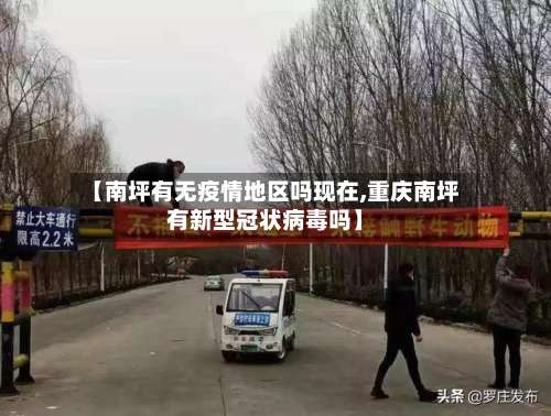 【南坪有无疫情地区吗现在,重庆南坪有新型冠状病毒吗】-第1张图片