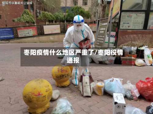 枣阳疫情什么地区严重了/枣阳役情通报-第2张图片