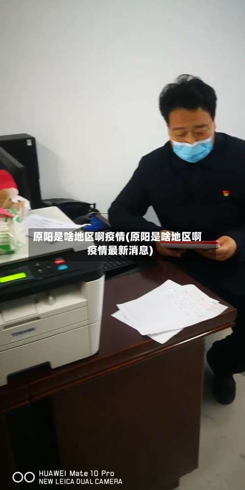 原阳是啥地区啊疫情(原阳是啥地区啊疫情最新消息)-第3张图片