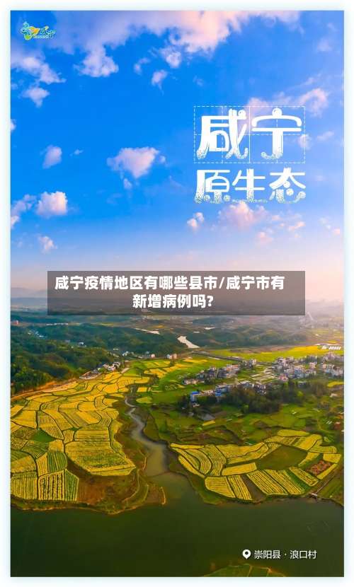 咸宁疫情地区有哪些县市/咸宁市有新增病例吗?-第3张图片