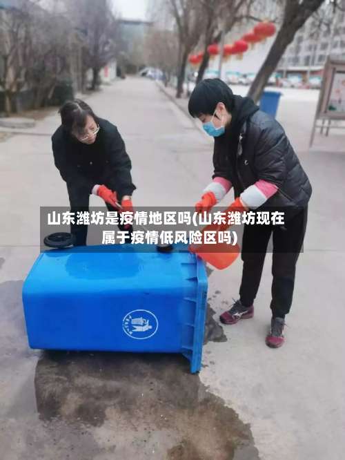 山东潍坊是疫情地区吗(山东潍坊现在属于疫情低风险区吗)-第3张图片