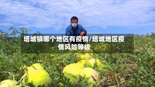 塔城镇哪个地区有疫情/塔城地区疫情风险等级-第2张图片