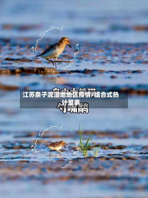 江苏条子泥湿地地区疫情/组合式热计量表-第3张图片