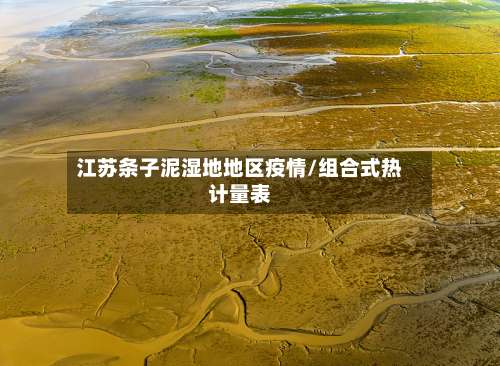 江苏条子泥湿地地区疫情/组合式热计量表-第1张图片