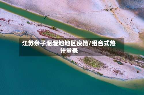 江苏条子泥湿地地区疫情/组合式热计量表-第2张图片