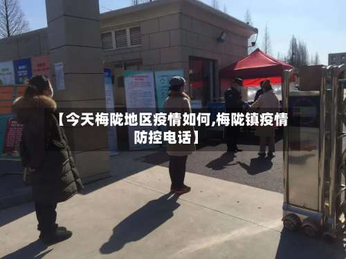 【今天梅陇地区疫情如何,梅陇镇疫情防控电话】-第2张图片