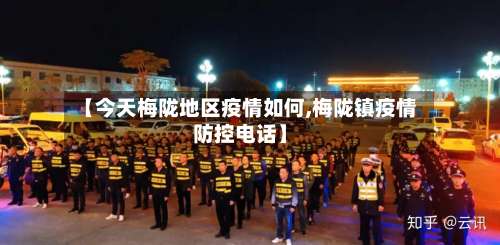【今天梅陇地区疫情如何,梅陇镇疫情防控电话】-第1张图片