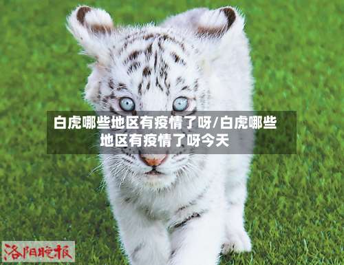 白虎哪些地区有疫情了呀/白虎哪些地区有疫情了呀今天-第2张图片
