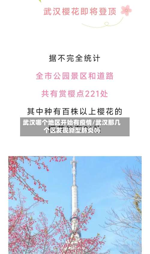 武汉哪个地区开始有疫情/武汉那几个区发现新型肺炎吗-第2张图片