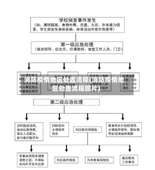 消防疫情地区处置流程(消防疫情地区处置流程图片)-第2张图片