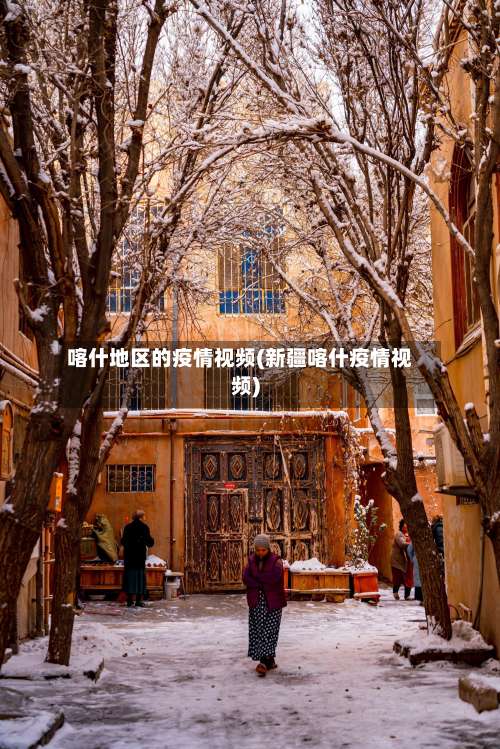喀什地区的疫情视频(新疆喀什疫情视频)-第3张图片