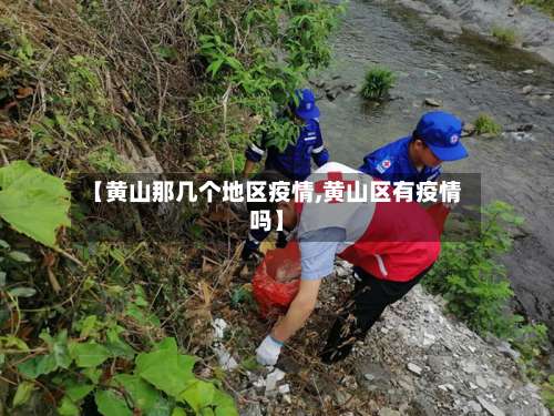 【黄山那几个地区疫情,黄山区有疫情吗】-第1张图片