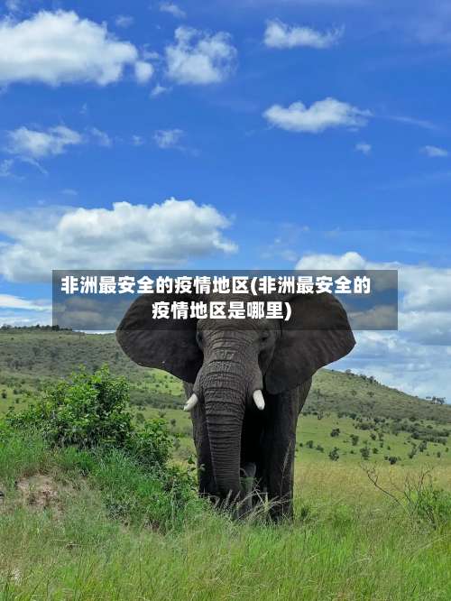 非洲最安全的疫情地区(非洲最安全的疫情地区是哪里)-第1张图片