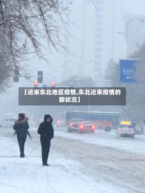 【近来东北地区疫情,东北近来疫情的新状况】-第2张图片