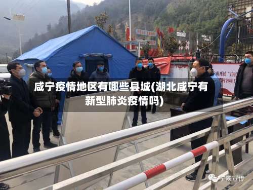 咸宁疫情地区有哪些县城(湖北咸宁有新型肺炎疫情吗)-第1张图片