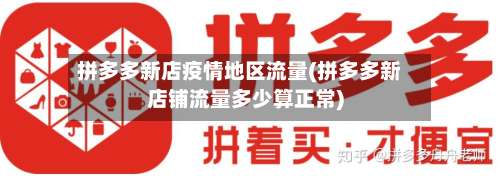 拼多多新店疫情地区流量(拼多多新店铺流量多少算正常)-第2张图片
