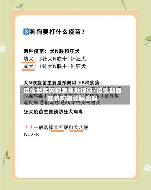 疫情地区狗狗怎样处理好/疫情期间宠物狗需要隔离吗-第1张图片