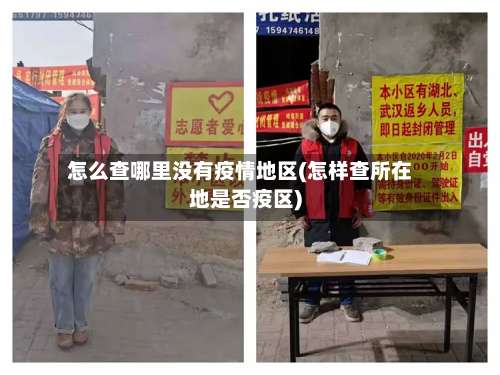 怎么查哪里没有疫情地区(怎样查所在地是否疫区)-第1张图片