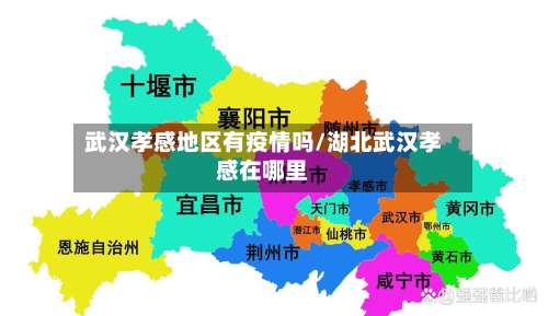 武汉孝感地区有疫情吗/湖北武汉孝感在哪里-第2张图片
