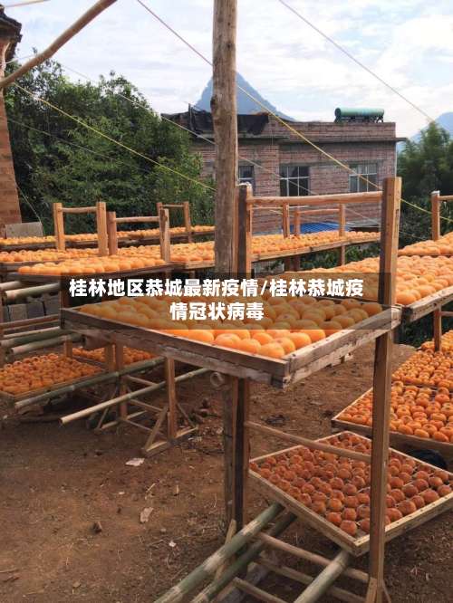 桂林地区恭城最新疫情/桂林恭城疫情冠状病毒-第1张图片