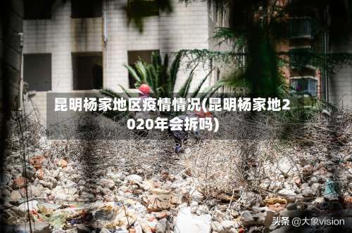 昆明杨家地区疫情情况(昆明杨家地2020年会拆吗)-第2张图片