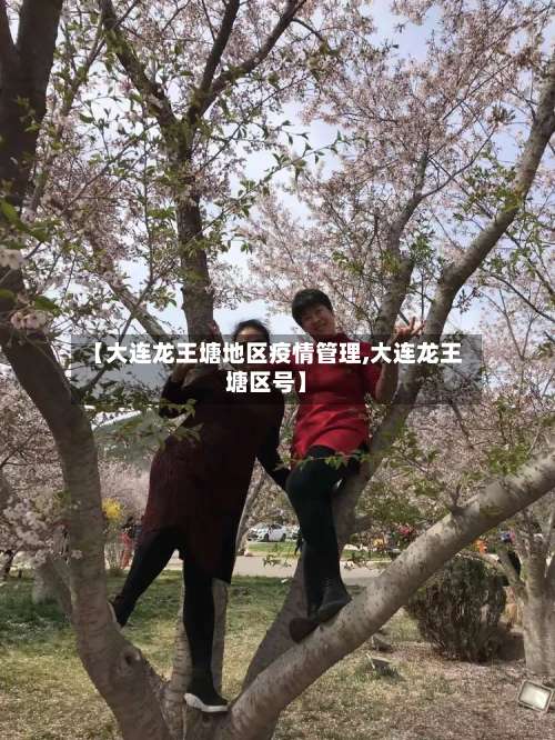 【大连龙王塘地区疫情管理,大连龙王塘区号】-第1张图片