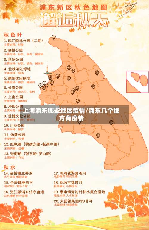 上海浦东哪些地区疫情/浦东几个地方有疫情-第3张图片
