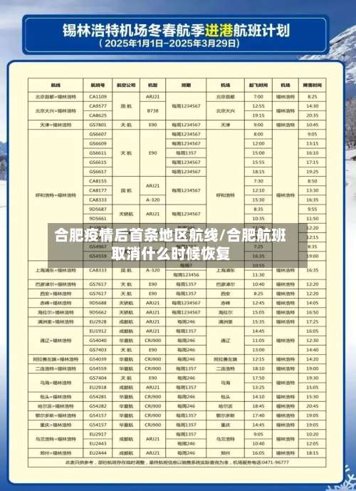 合肥疫情后首条地区航线/合肥航班取消什么时候恢复-第2张图片