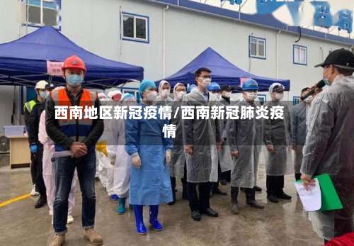 西南地区新冠疫情/西南新冠肺炎疫情-第2张图片