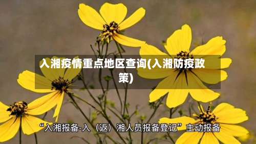 入湘疫情重点地区查询(入湘防疫政策)-第2张图片