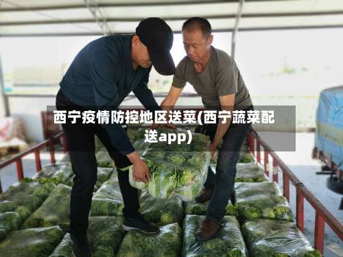 西宁疫情防控地区送菜(西宁蔬菜配送app)-第1张图片