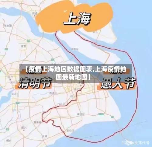 【疫情上海地区数据图表,上海疫情地图最新地图】-第2张图片