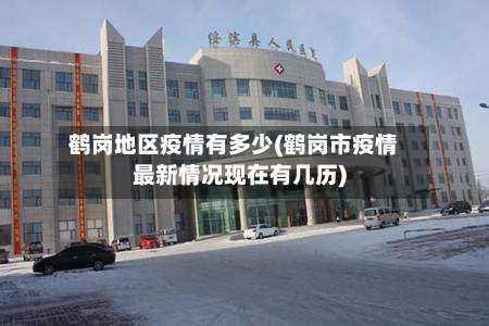鹤岗地区疫情有多少(鹤岗市疫情最新情况现在有几历)-第2张图片