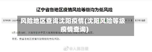 风险地区查询沈阳疫情(沈阳风险等级疫情查询)-第2张图片