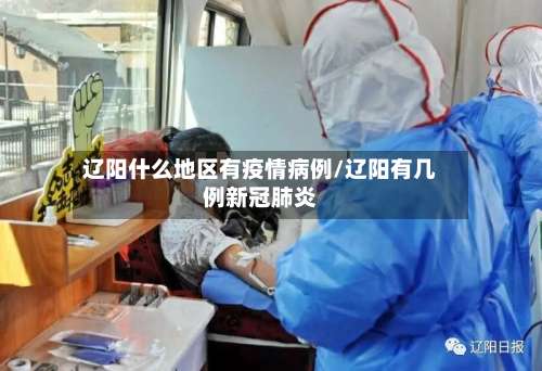 辽阳什么地区有疫情病例/辽阳有几例新冠肺炎-第1张图片