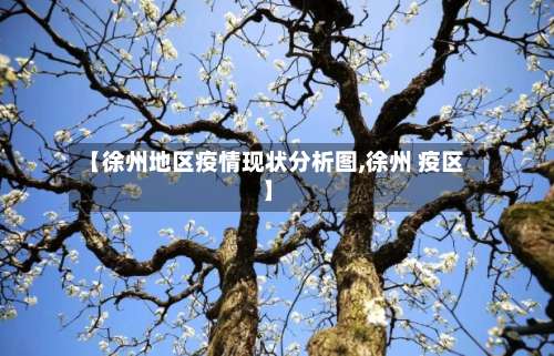 【徐州地区疫情现状分析图,徐州 疫区】-第2张图片
