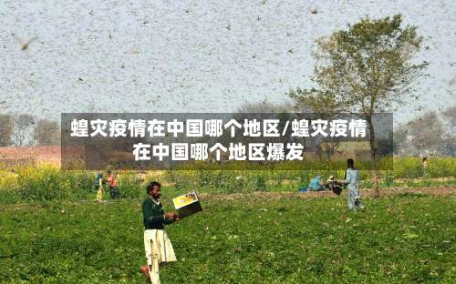 蝗灾疫情在中国哪个地区/蝗灾疫情在中国哪个地区爆发-第1张图片