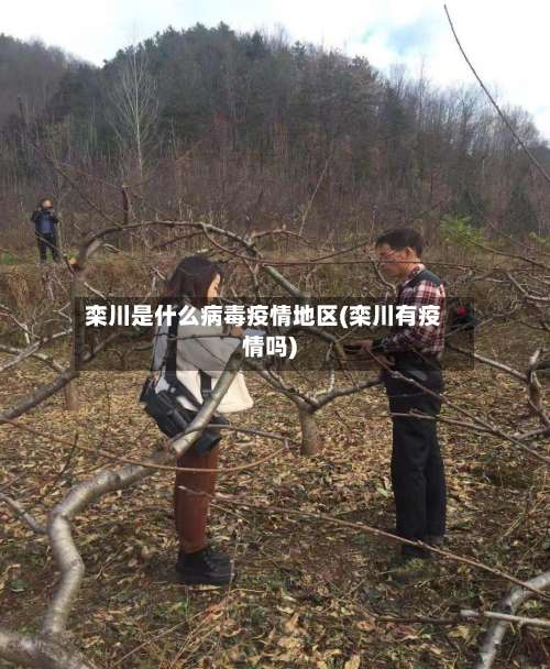 栾川是什么病毒疫情地区(栾川有疫情吗)-第1张图片