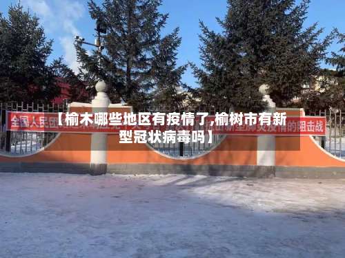 【榆木哪些地区有疫情了,榆树市有新型冠状病毒吗】-第2张图片