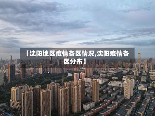 【沈阳地区疫情各区情况,沈阳疫情各区分布】-第1张图片
